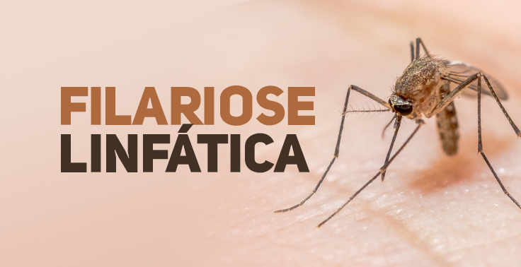 Imagem informativa de saúde com fundo em tom rosado de pele. No lado esquerdo, sobressai o texto FILARIOSE em letras marrom-claras e LINFÁTICA em letras marrom-escuras. No lado direito, destaca-se a foto em modo macro de um mosquito pousado sobre a pele.